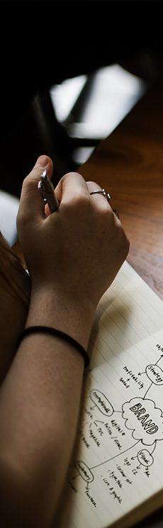 Criação de Site